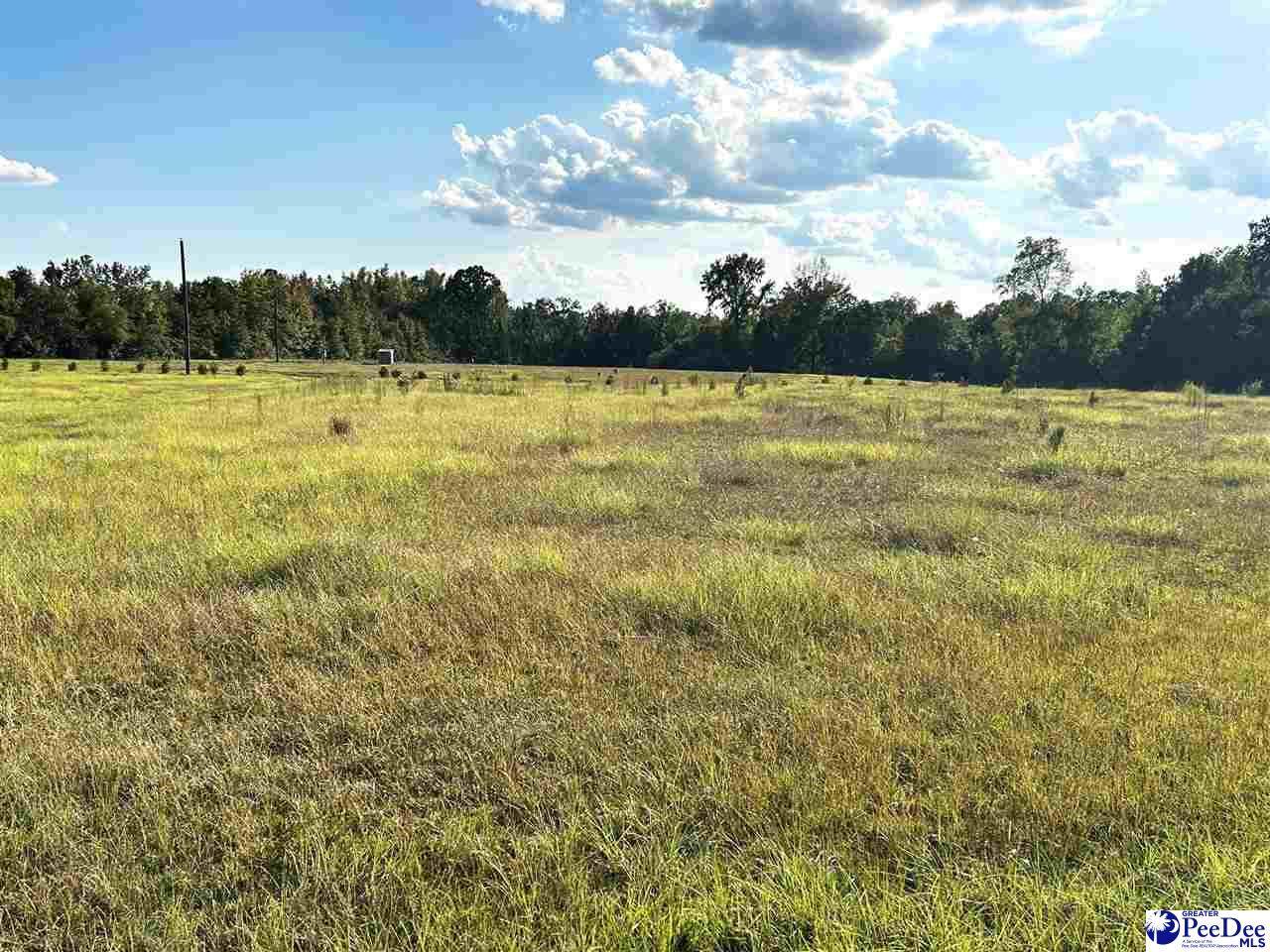 3699 S Hill Rd - Photo 1