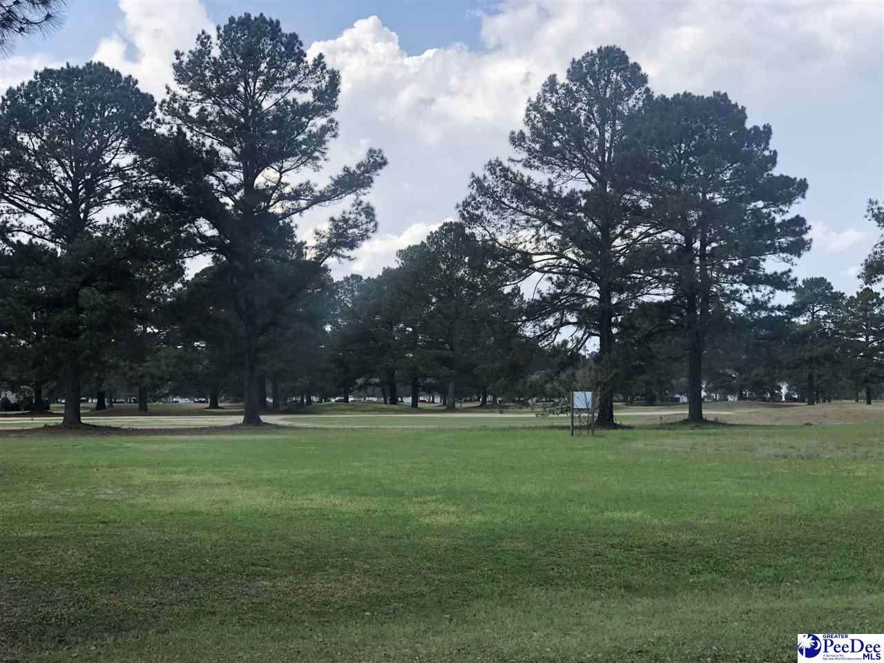 2313 Sun Vue Road - Photo 1