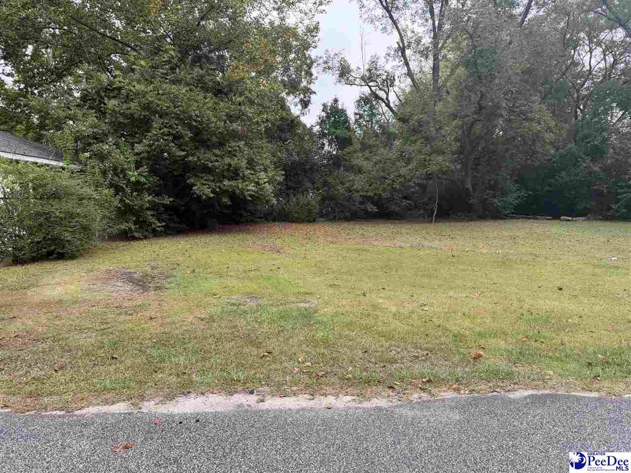 824 Commander St. - Photo 1