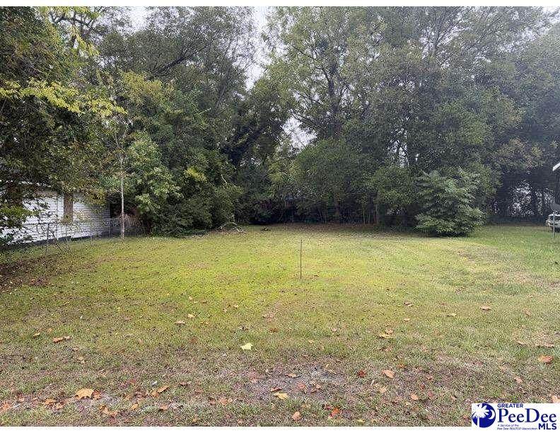 818 Commander St. - Photo 1