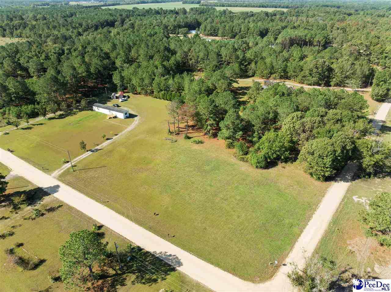 TBD Buckskin St - Photo 1