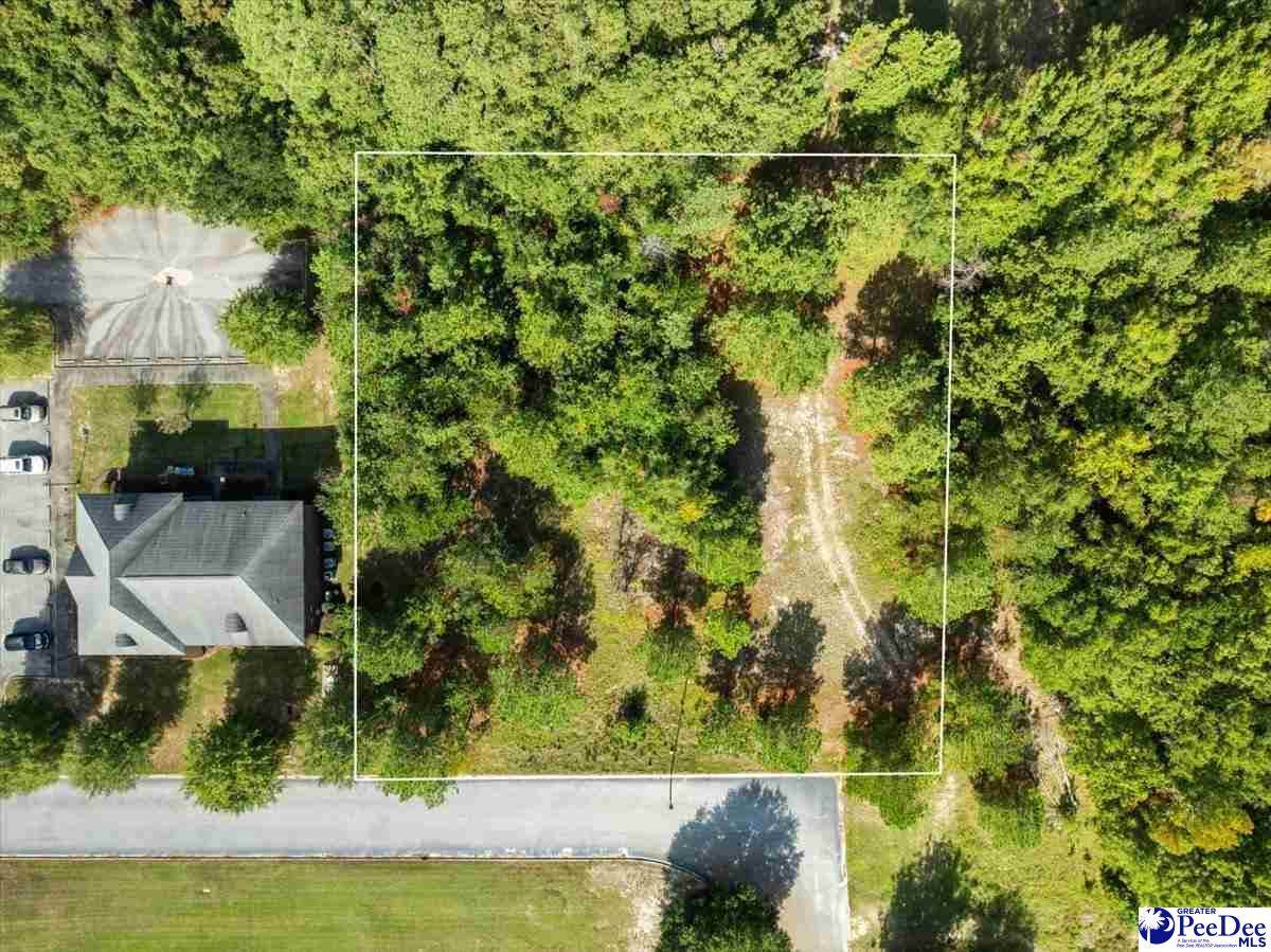  Medical Park Drive - Photo 1