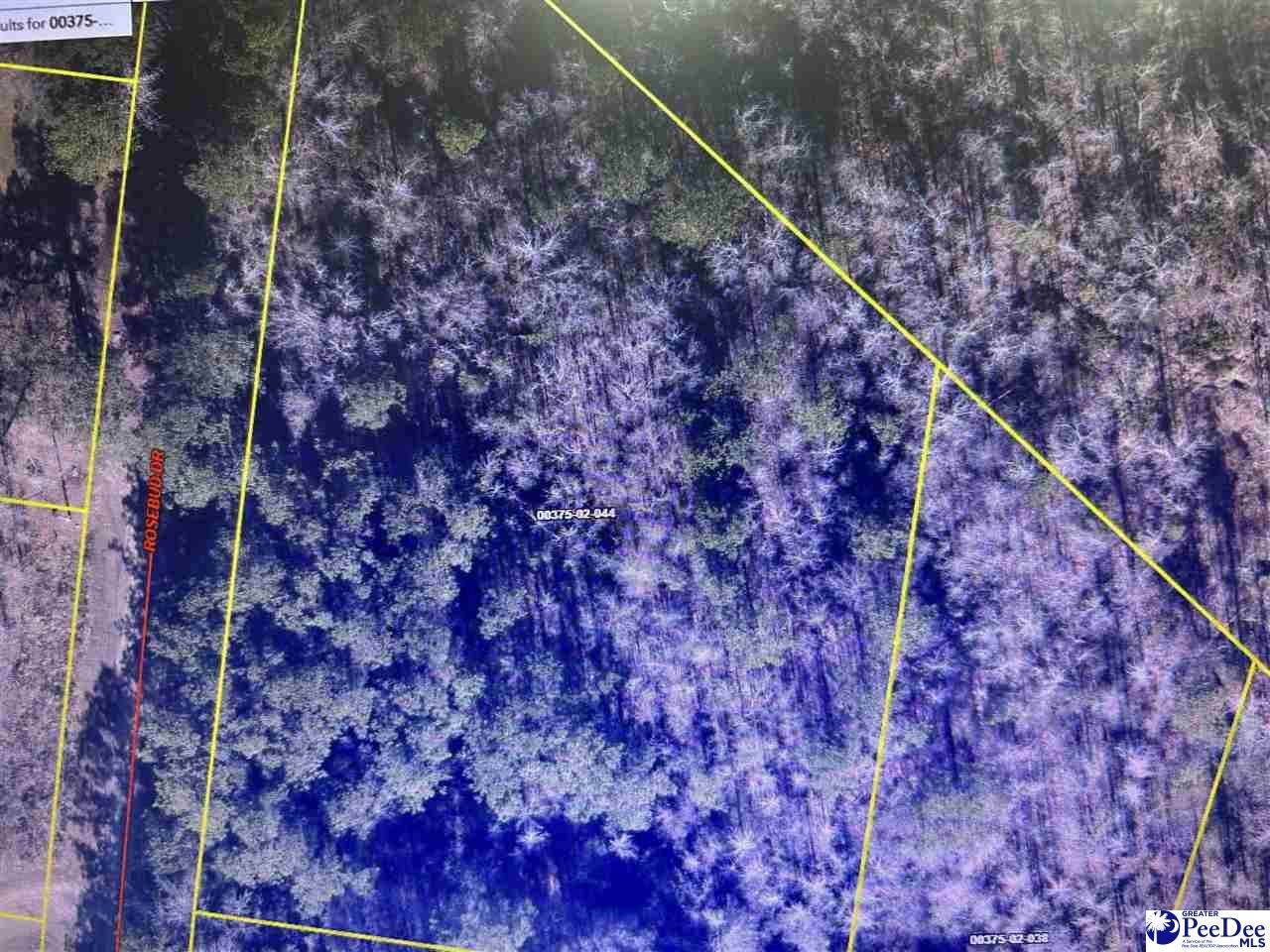  Rosebud Ln - Photo 1