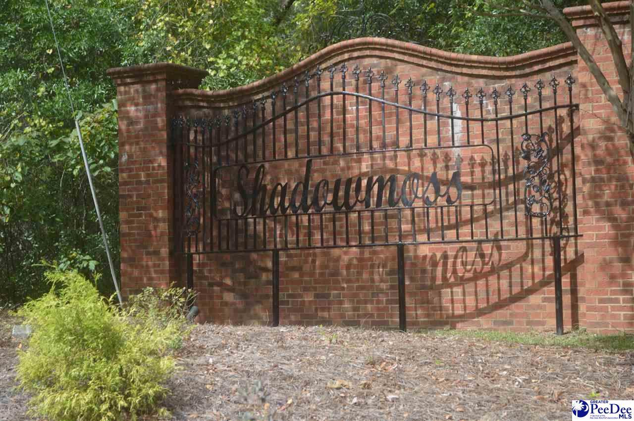 Lot 35 & 34 Westover Drive - Photo 1