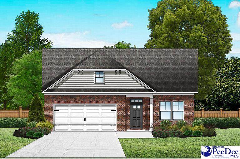 1151 Summer Duck Loop (Lot 52) - Photo 1