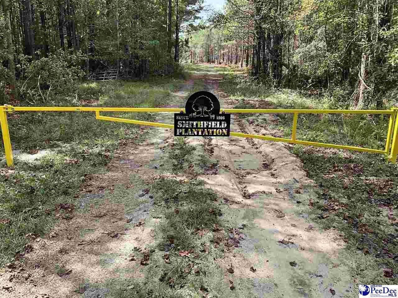 TBD Aloha Drive - Photo 1