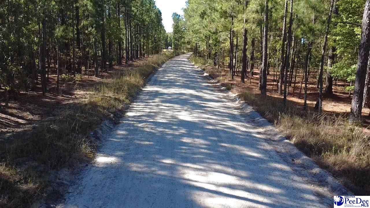 TBD Freeman Rd (Tract B) - Photo 1