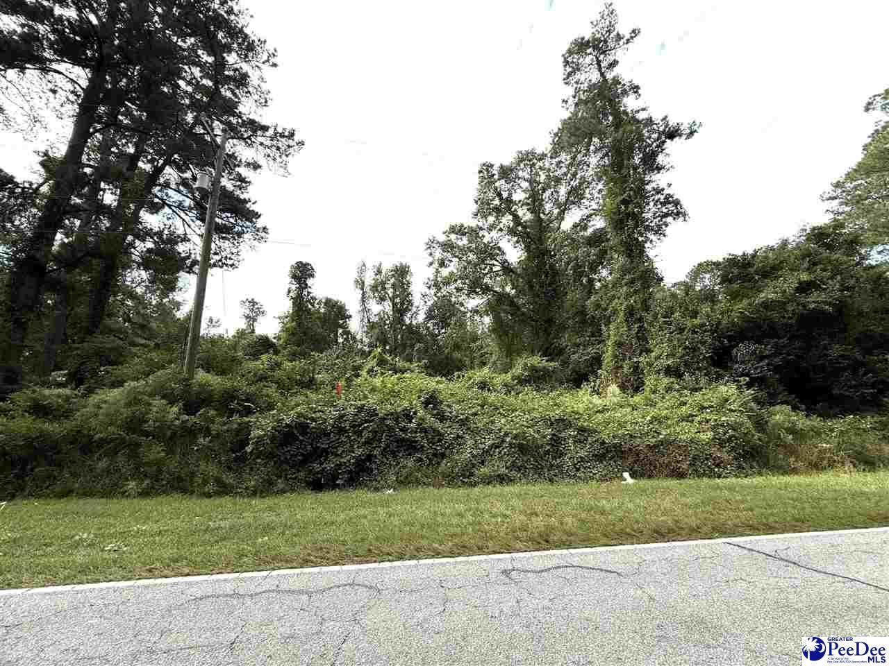  Hemingway Highway - Photo 1