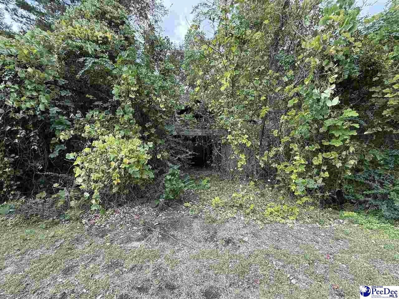 185 Solomon Circle - Photo 1