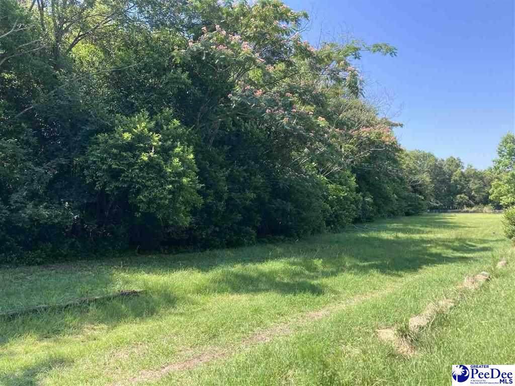 TBD Hudson Street - Photo 1