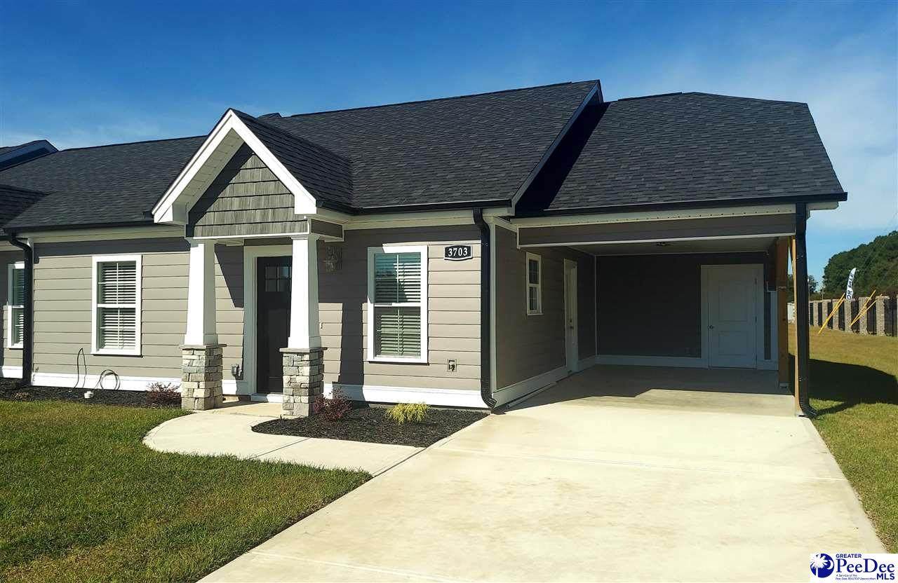 3703 Sabina Drive - Photo 1