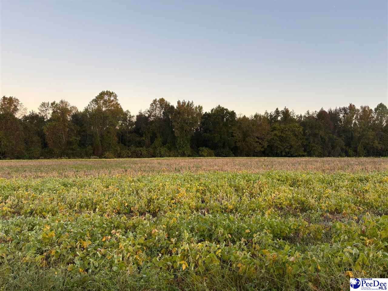 2014 Timmons Rd. Lot 10 - Photo 1