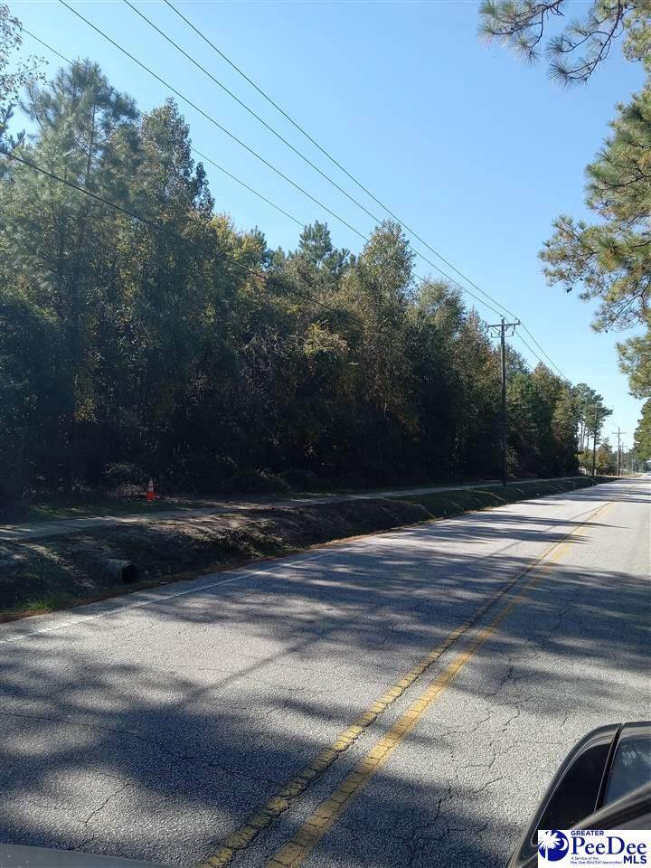 TBD Old Marion Highway - Photo 1