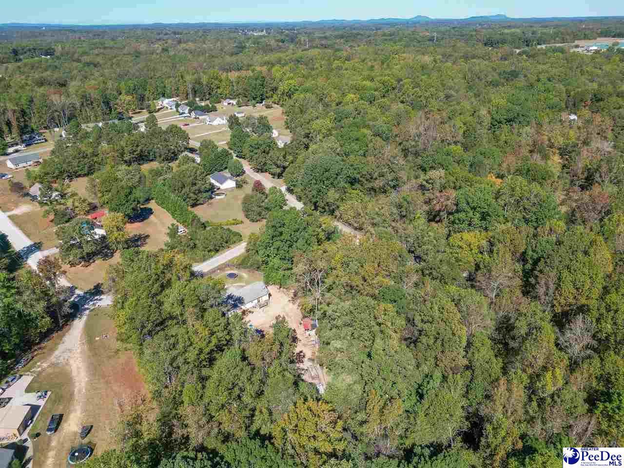 305 Woodcrest Drive - Photo 1