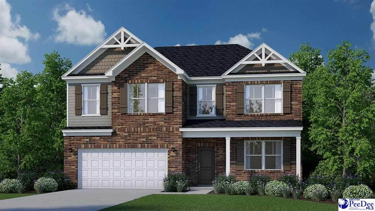 1240 Summer Duck Loop - Photo 1