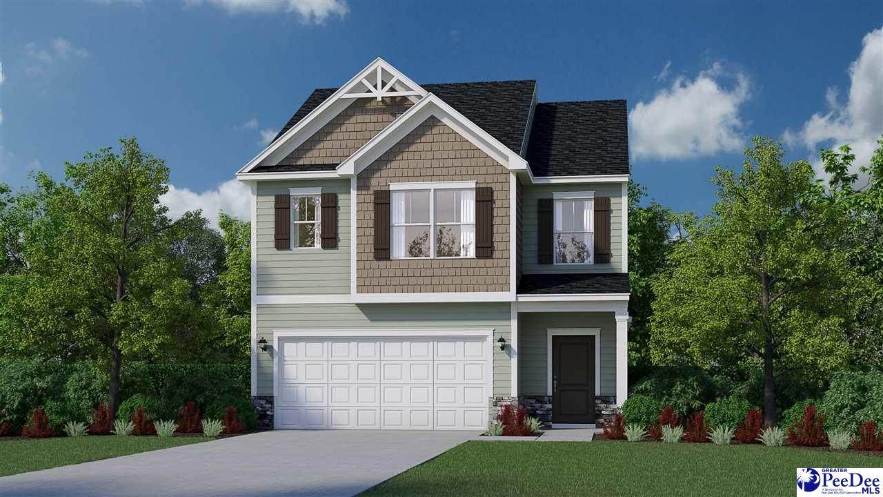 1236 Summer Duck Loop - Photo 1