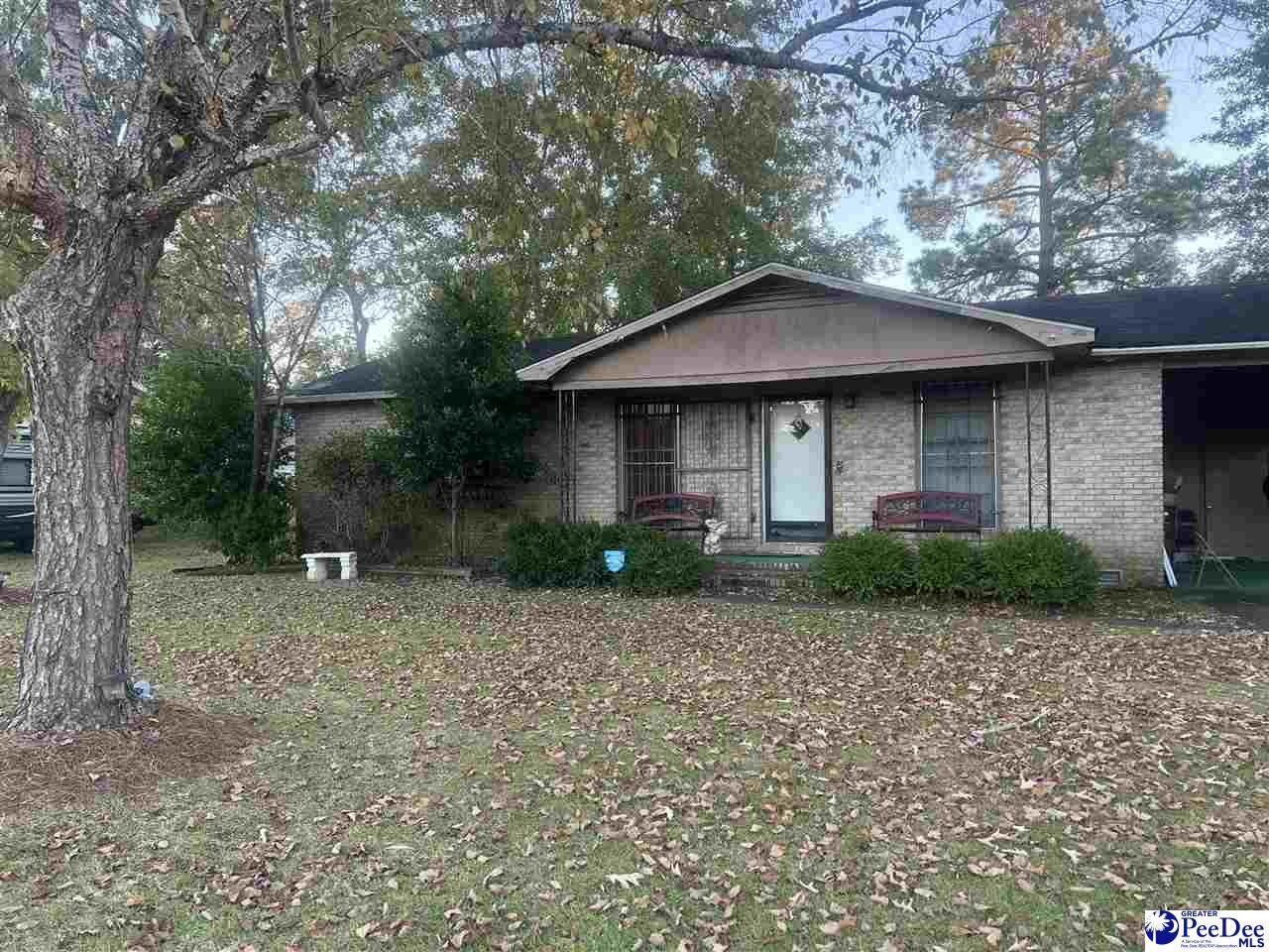 1002 Pitty Pat - Photo 1