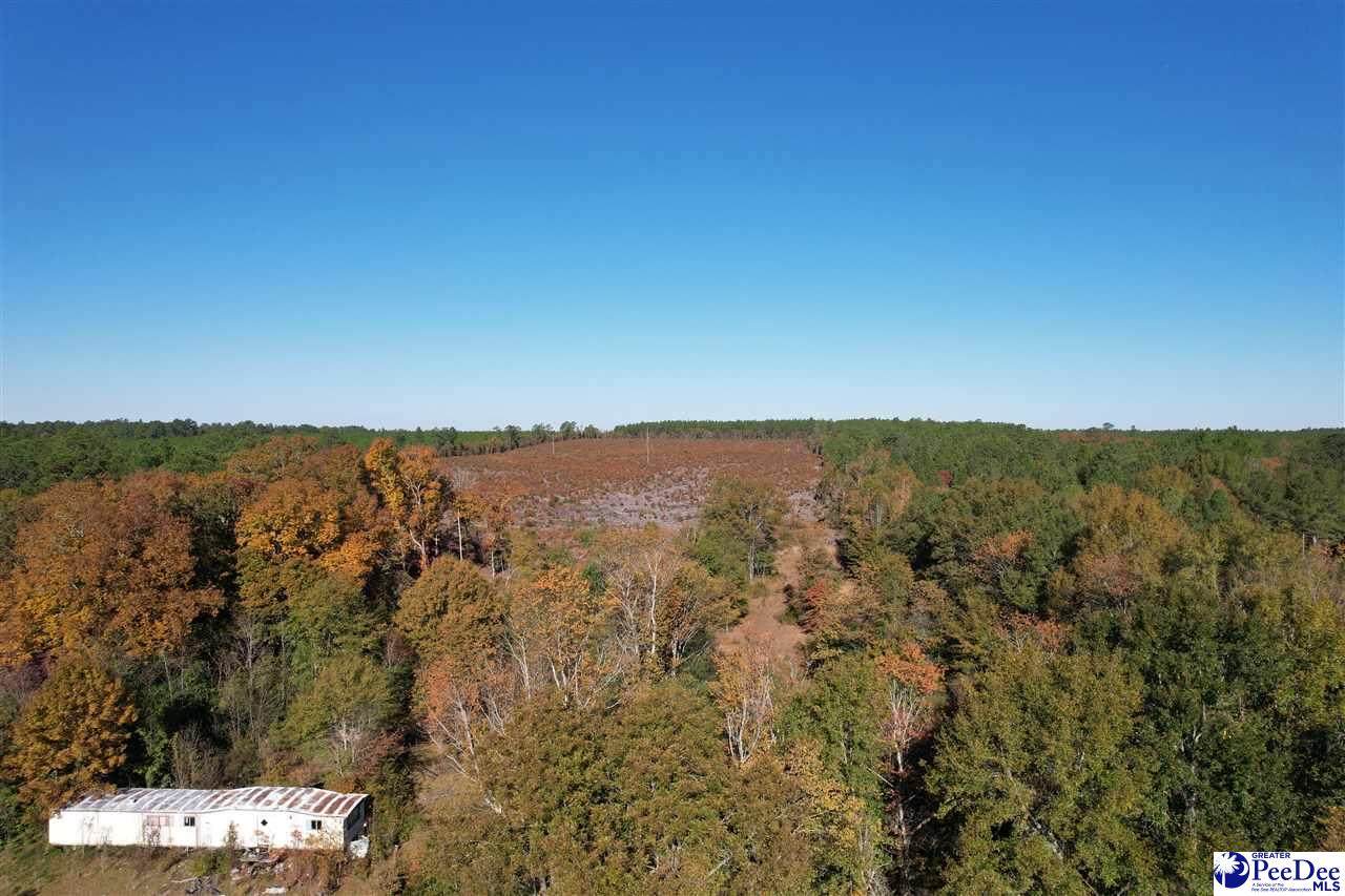 2812 New Market Rd - Photo 1