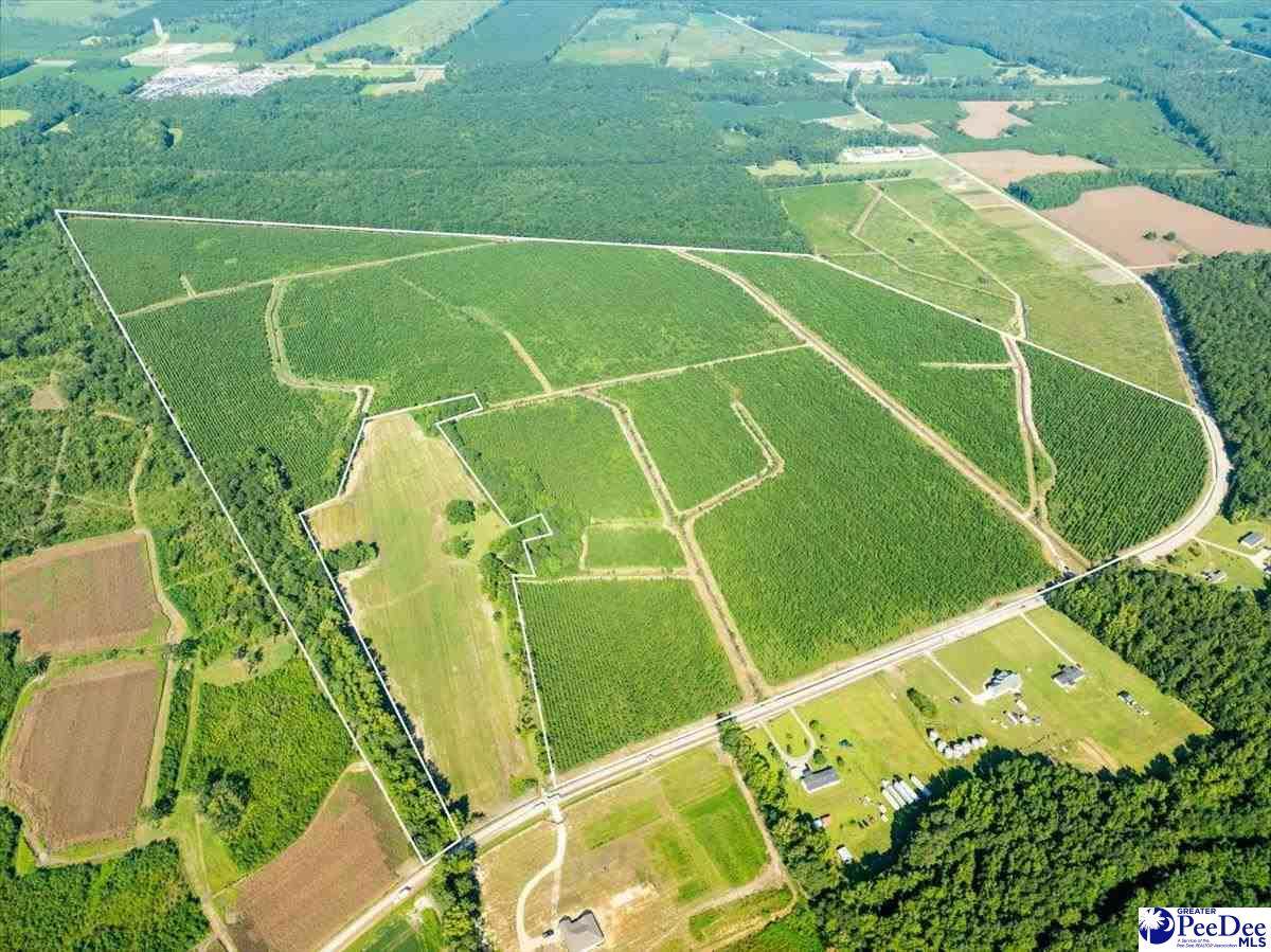 tbd Patty Rd - Photo 1