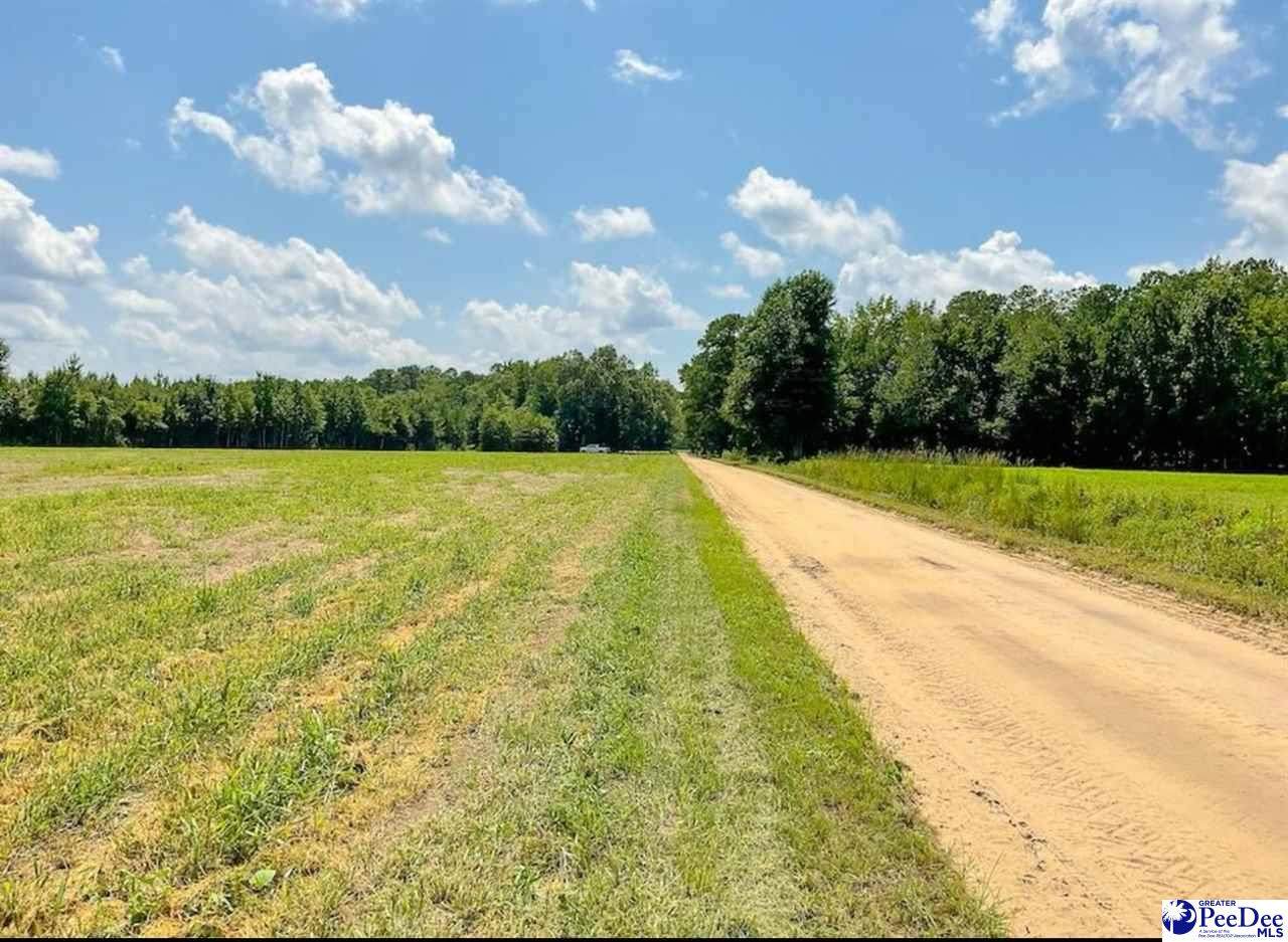 1408 Kelley Rd - Photo 1