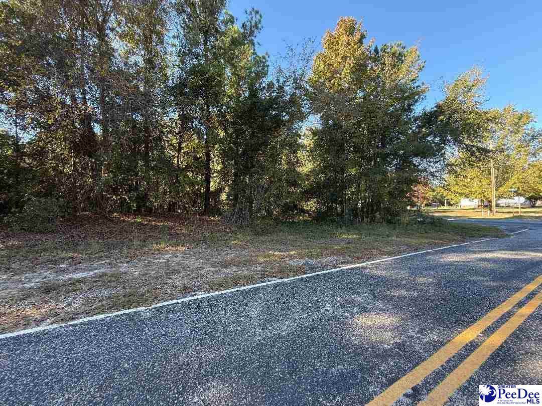 Lot 15 & 16 Maple Ave - Photo 1