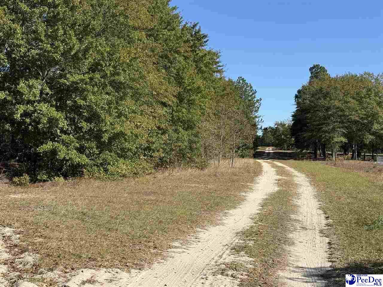 Lot 25 Norwood Farms - Photo 1