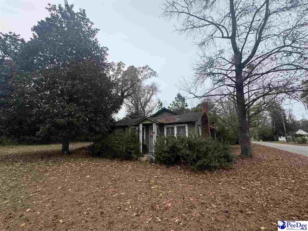 153 Pine Street - Photo 1