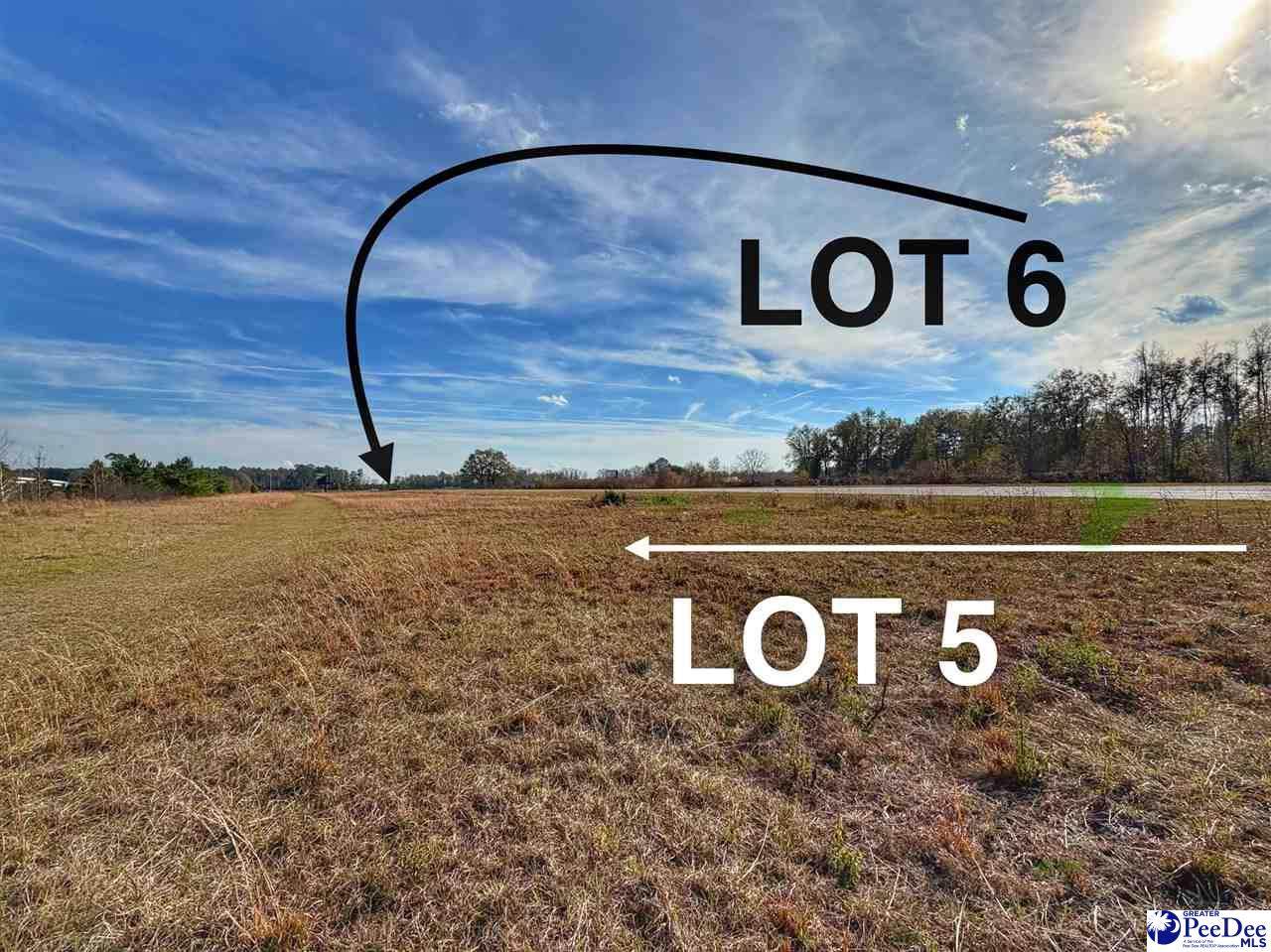 Lot 5 Mallory Beach Road - Photo 1