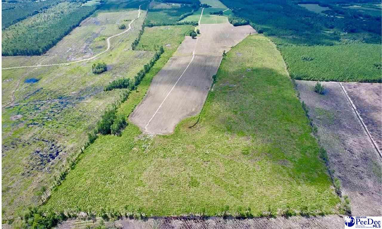TBD Hwy 527 - Photo 1