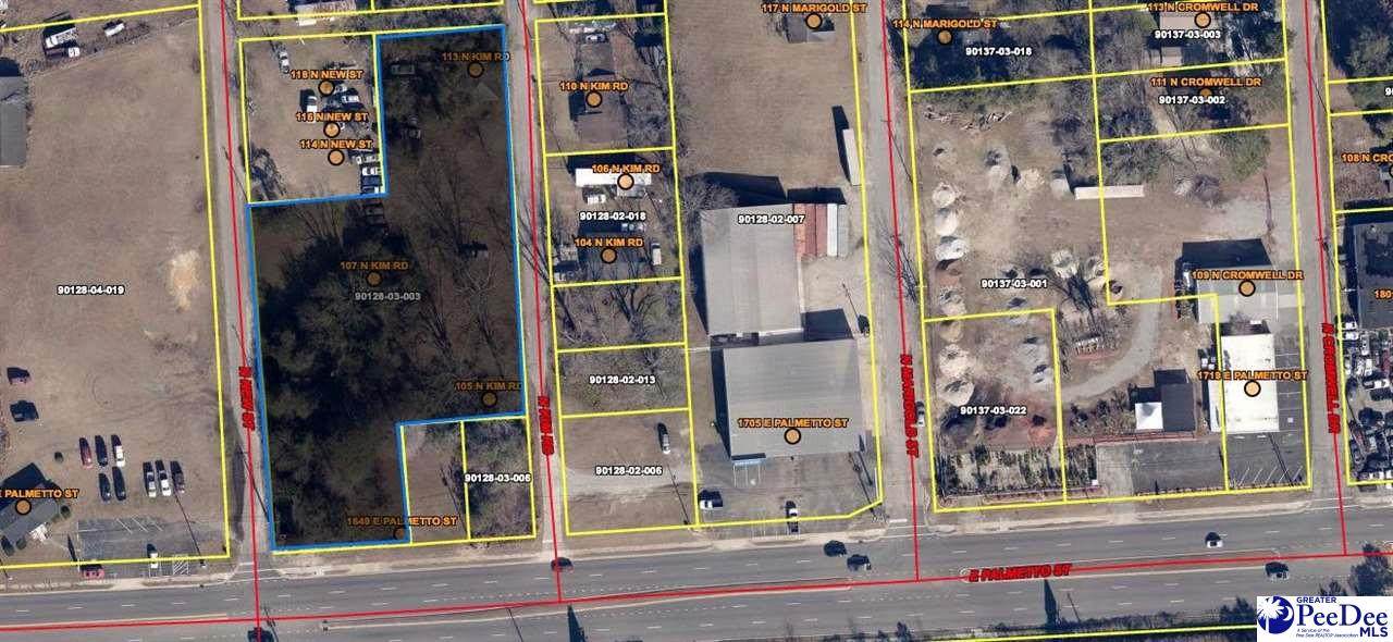 1649 Palmetto St - Photo 1