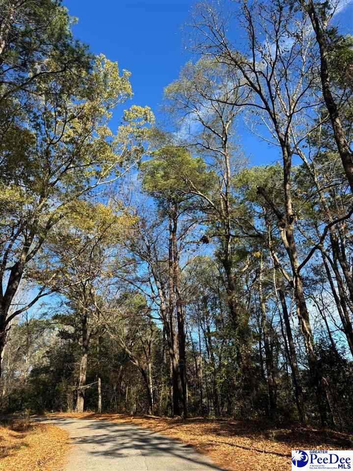 TBD Wilson Street - Photo 1