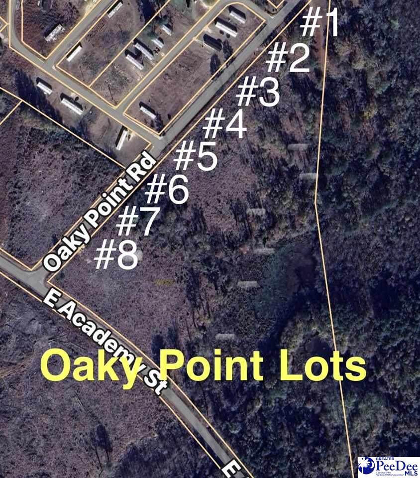 Lot 5 Oaky Point Road - Photo 1