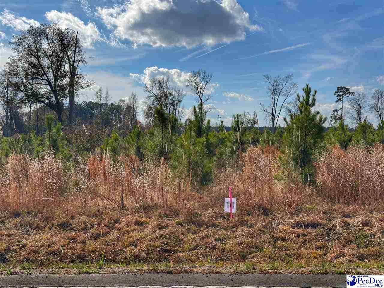 Lot 14 Academy Street Ext. - Photo 1