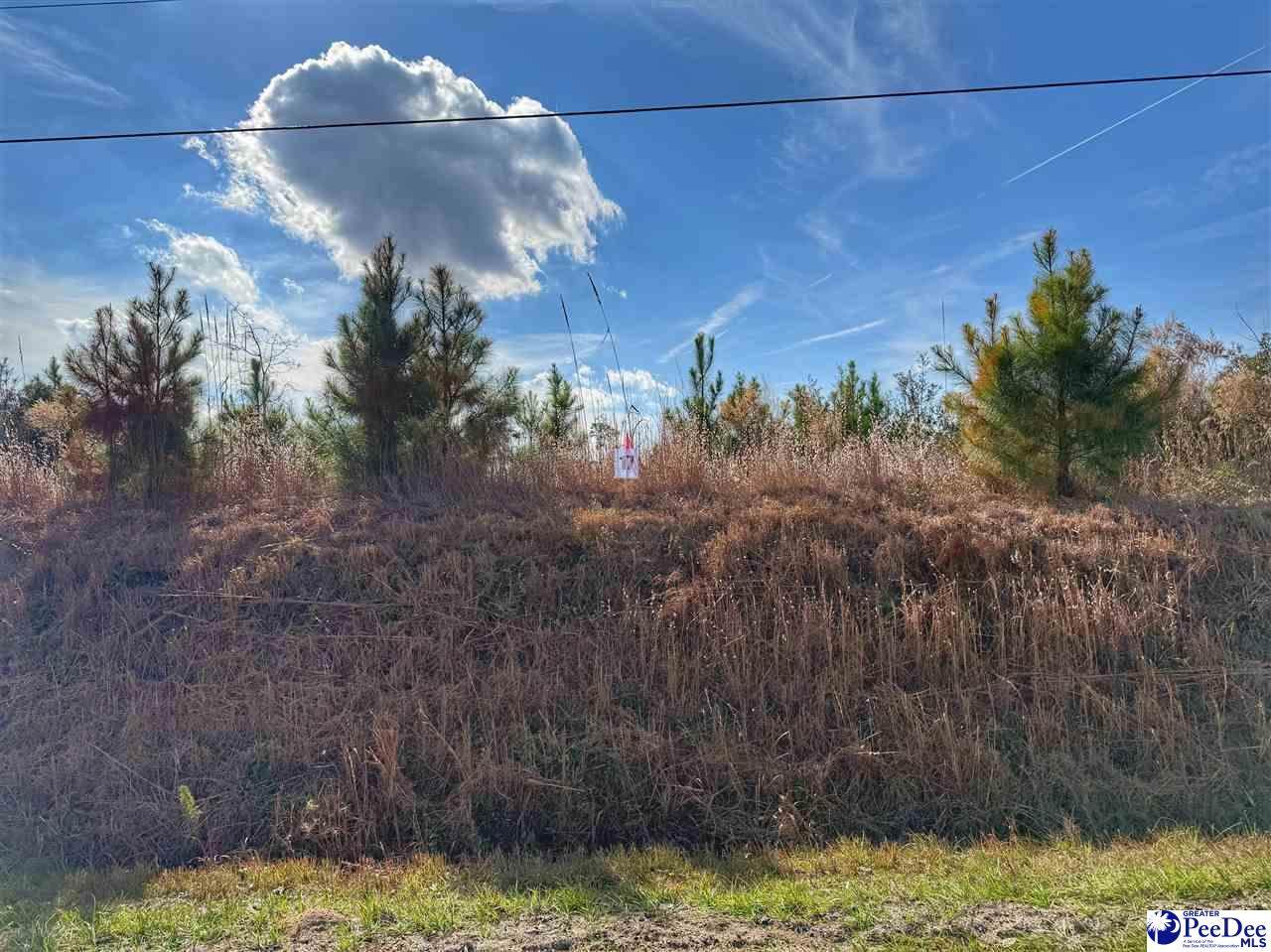 Lot 17 Academy Street Ext. - Photo 1