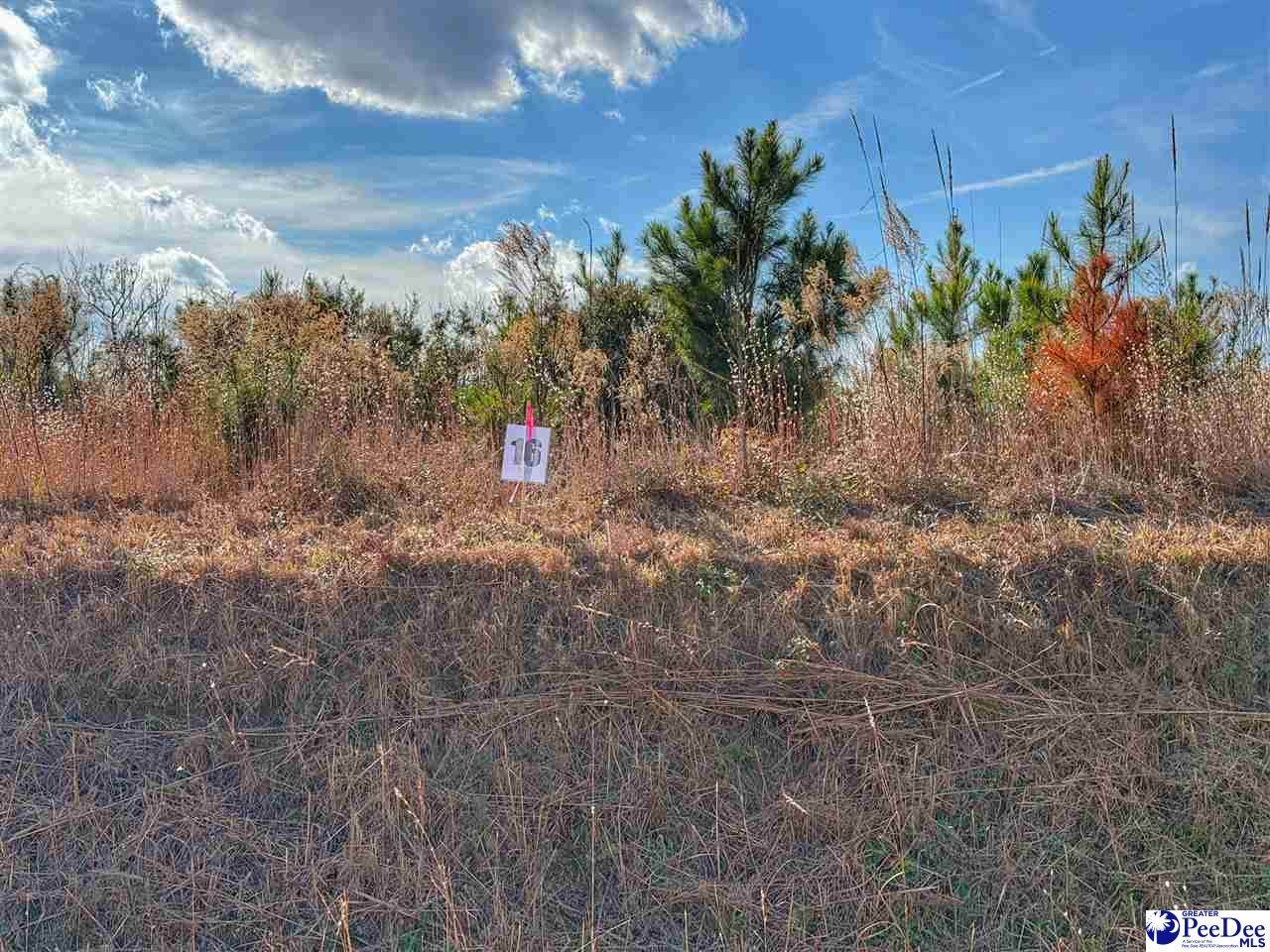 Lot 16 Academy Street Ext. - Photo 1