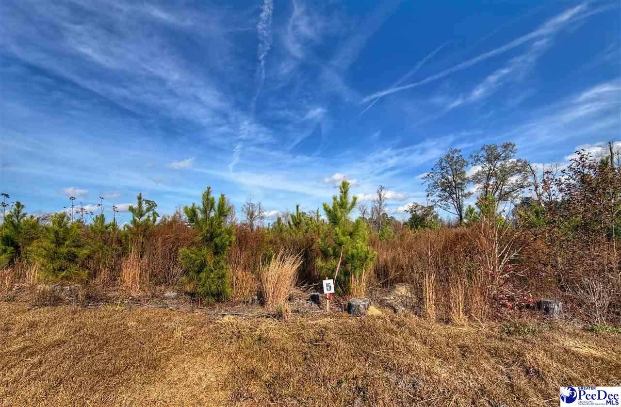 Lot 5 Academy Street Ext. - Photo 1