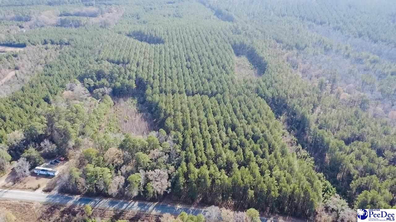 9214 Kingstree Highway - Photo 1