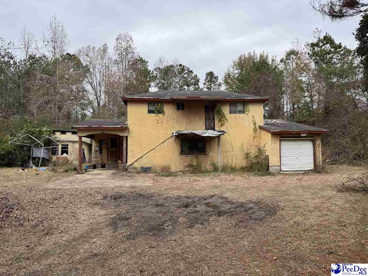 4629 Williamsburg County Hwy - Photo 1