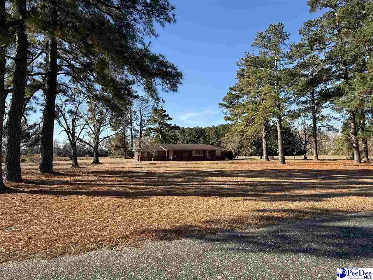 764 1st Oxtown Road - Photo 1