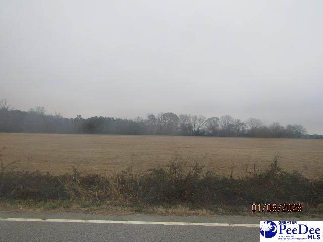  Sinclair Road - Photo 1