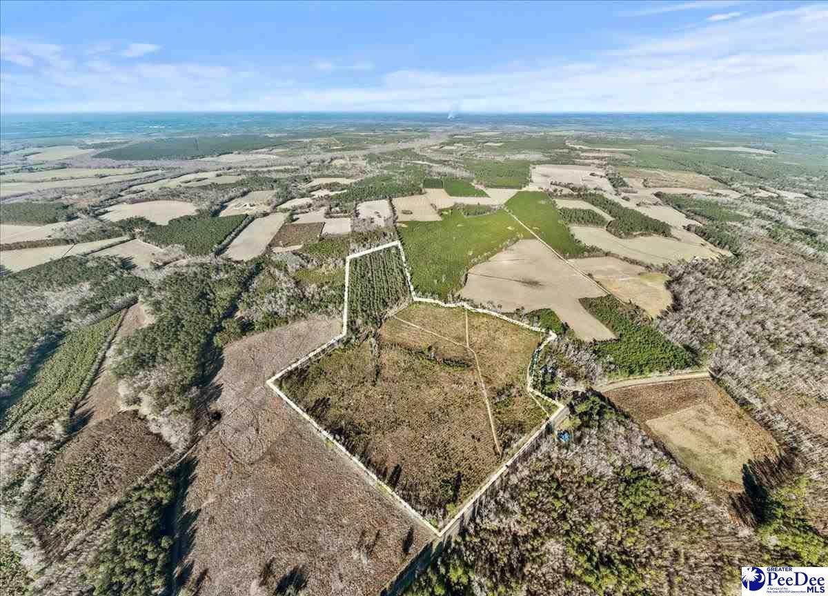 TBD Witherspoon Road - Photo 1