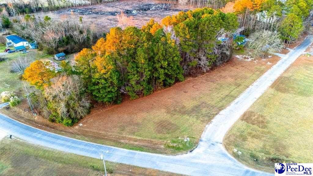 701 Pilots Lane - Photo 1