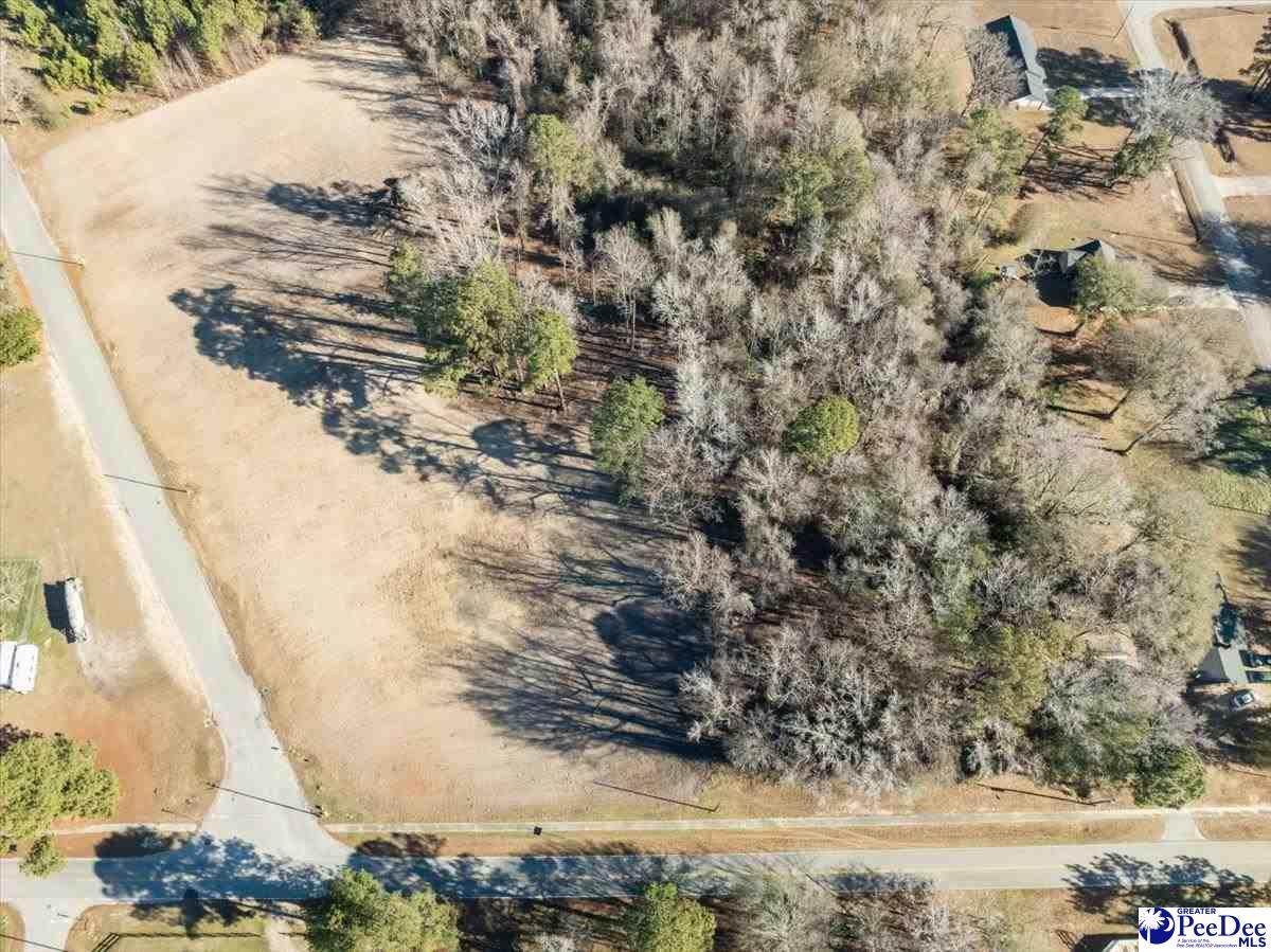 Lot 4 TBD Atkinson Street - Photo 1