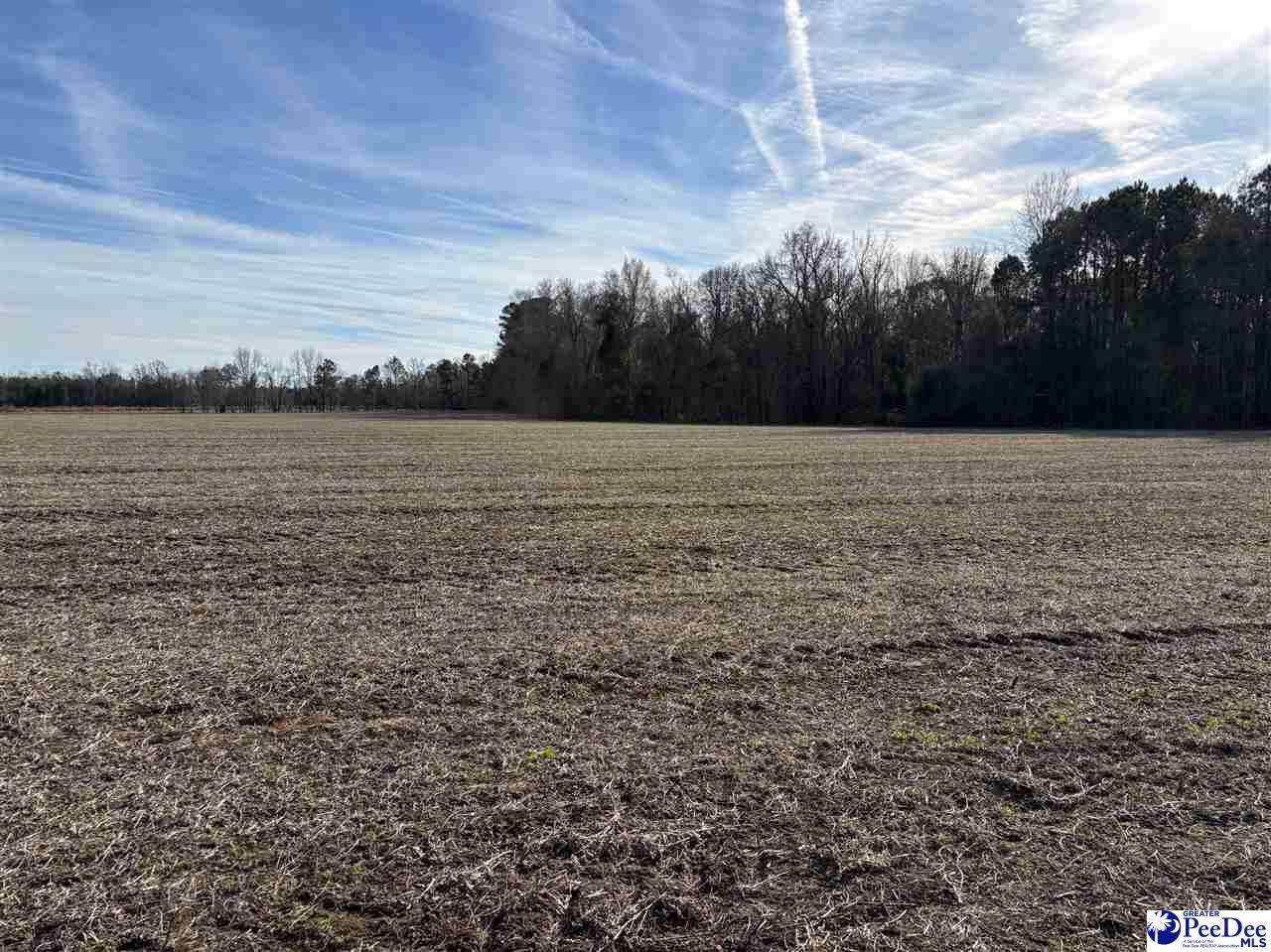 Tbd Indigo Landing Rd Lot 4 - Photo 1