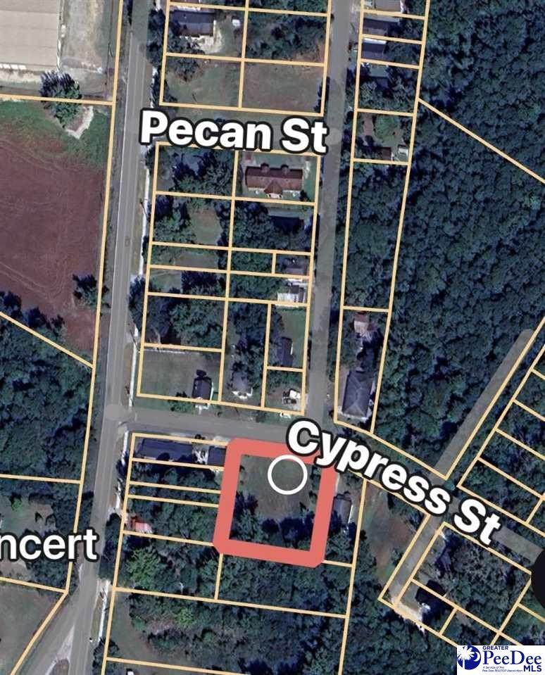 TBD Cypress Street - Photo 1