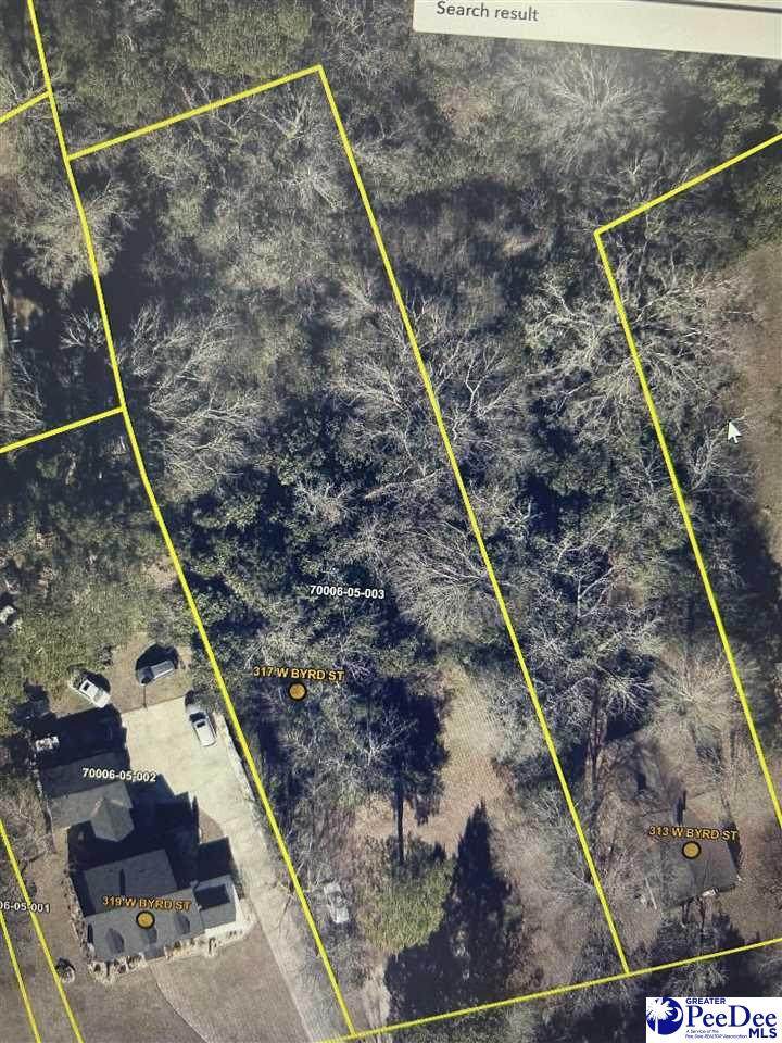 317 Byrd St - Photo 1