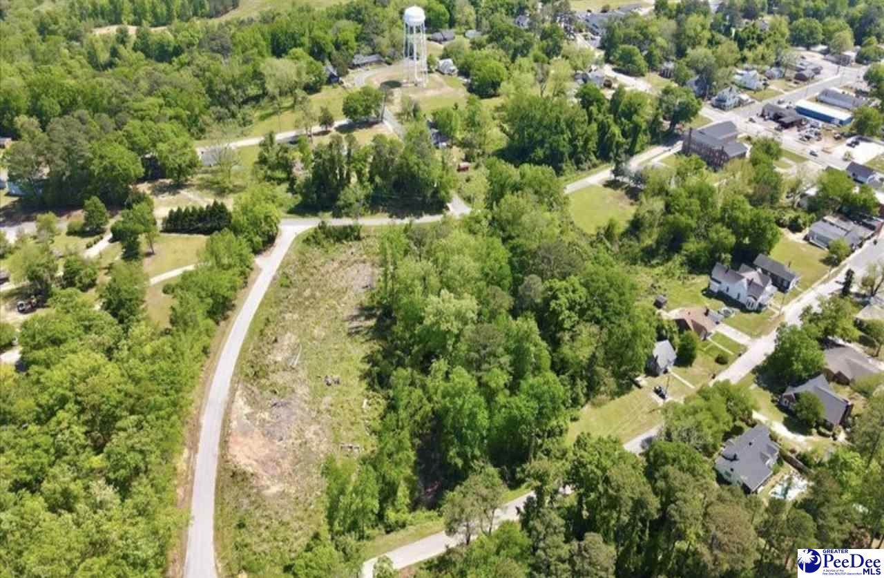 Lot C & D Trotti Ave - Photo 1