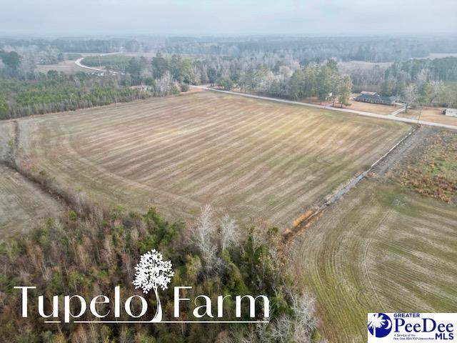 TBD W Lynhurst Rd, Lot 7 - Photo 1