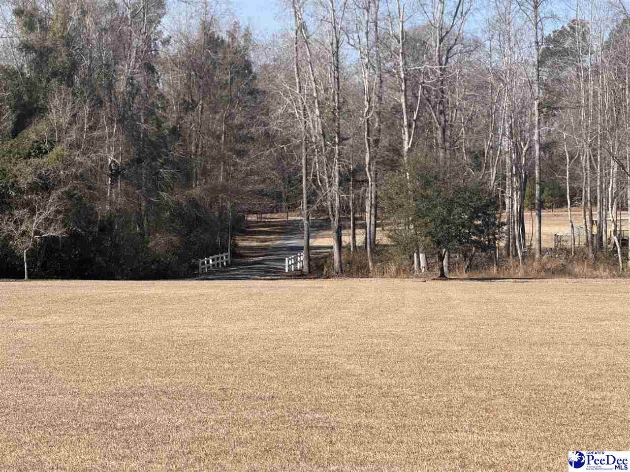 489 Whitney Lane - Photo 1