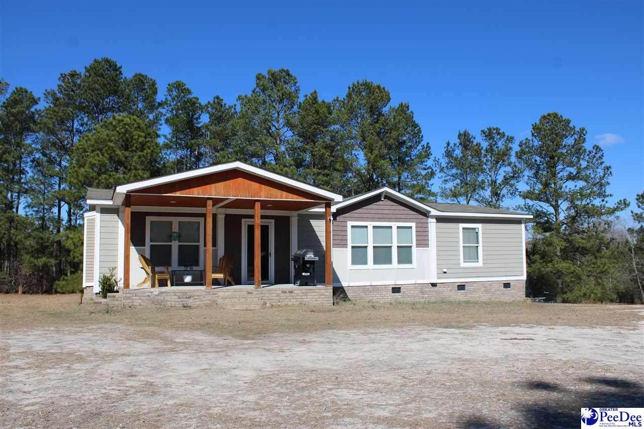 213 Pine Branch Lane - Photo 1